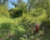 1st and Spruce street Corner, Thomas, West Virginia 26292, ,Lots/land,For Sale,street,10151022