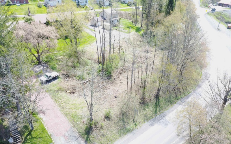 1st and Spruce street Corner, Thomas, West Virginia 26292, ,Lots/land,For Sale,street,10151022