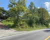 1st and Spruce street Corner, Thomas, West Virginia 26292, ,Lots/land,For Sale,street,10151022