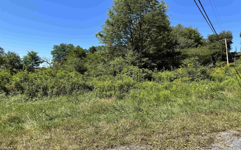 Lot 2 Alpenglow Ridge Drive, Dryfork, West Virginia 26260, ,Lots/land,For Sale,Alpenglow Ridge,10151092