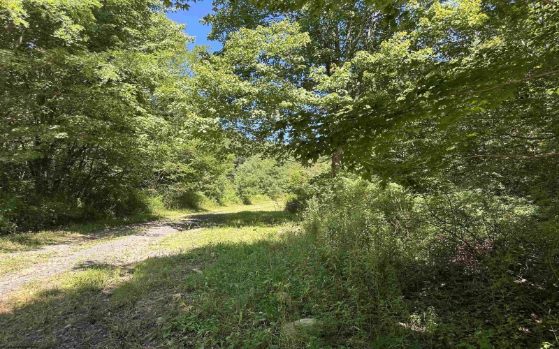 Lot 2 Alpenglow Ridge Drive, Dryfork, West Virginia 26260, ,Lots/land,For Sale,Alpenglow Ridge,10151092