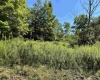 Lot 2 Alpenglow Ridge Drive, Dryfork, West Virginia 26260, ,Lots/land,For Sale,Alpenglow Ridge,10151092