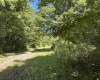 Lot 3 Alpenglow Ridge Drive, Dryfork, West Virginia 26260, ,Lots/land,For Sale,Alpenglow Ridge,10151093