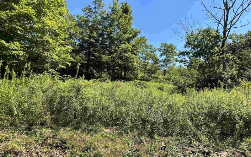 Lot 3 Alpenglow Ridge Drive, Dryfork, West Virginia 26260, ,Lots/land,For Sale,Alpenglow Ridge,10151093