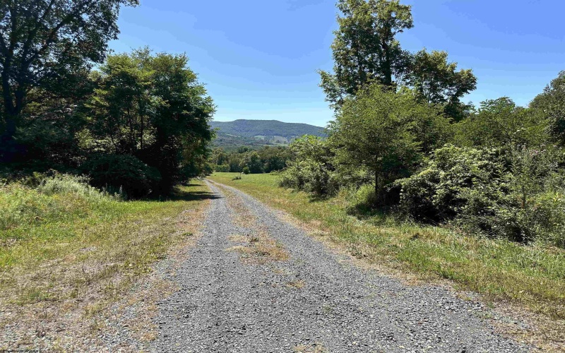 Lot 4 Alpenglow Ridge Drive, Dryfork, West Virginia 26260, ,Lots/land,For Sale,Alpenglow Ridge,10151094