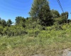 Lot 8 Alpenglow Ridge Drive, Dryfork, West Virginia 26260, ,Lots/land,For Sale,Alpenglow Ridge,10151095