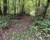 Lot 1 Deckers Trail Road, Masontown, West Virginia 26542, ,Lots/land,For Sale,Deckers Trail,10151261