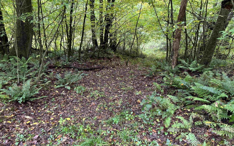 Lot 1 Deckers Trail Road, Masontown, West Virginia 26542, ,Lots/land,For Sale,Deckers Trail,10151261