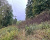 Lot 1 Deckers Trail Road, Masontown, West Virginia 26542, ,Lots/land,For Sale,Deckers Trail,10151261