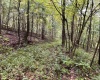 Lot 1 Deckers Trail Road, Masontown, West Virginia 26542, ,Lots/land,For Sale,Deckers Trail,10151261