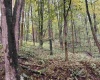 Lot 1 Deckers Trail Road, Masontown, West Virginia 26542, ,Lots/land,For Sale,Deckers Trail,10151261