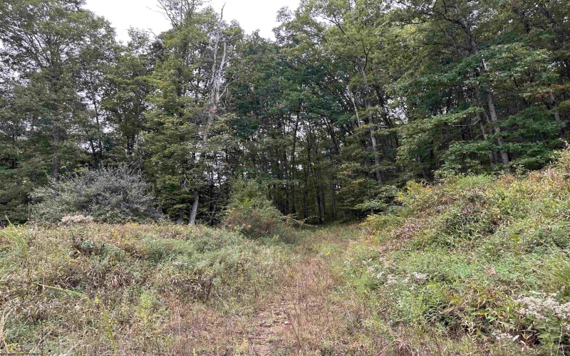 Lot 2 Deckers Trail Road, Masontown, West Virginia 26542, ,Lots/land,For Sale,Deckers Trail,10151262