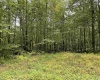 Lot 3 Deckers Trail Road, Masontown, West Virginia 26542, ,Lots/land,For Sale,Deckers Trail,10151270