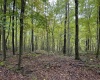 Lot 3 Deckers Trail Road, Masontown, West Virginia 26542, ,Lots/land,For Sale,Deckers Trail,10151270