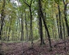 Lot 3 Deckers Trail Road, Masontown, West Virginia 26542, ,Lots/land,For Sale,Deckers Trail,10151270