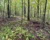 Lot 6 Deckers Trail Road, Masontown, West Virginia 26542, ,Lots/land,For Sale,Deckers Trail,10151273