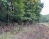 Lot 6 Deckers Trail Road, Masontown, West Virginia 26542, ,Lots/land,For Sale,Deckers Trail,10151273