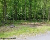 209 Woodside Lane, Bridgeport, West Virginia 26330, ,Lots/land,For Sale,Woodside,10114686