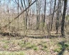 TBD Longhorn Lane, Morgantown, West Virginia 26508, ,Lots/land,For Sale,Longhorn,10148385