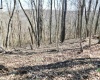 TBD Longhorn Lane, Morgantown, West Virginia 26508, ,Lots/land,For Sale,Longhorn,10148385