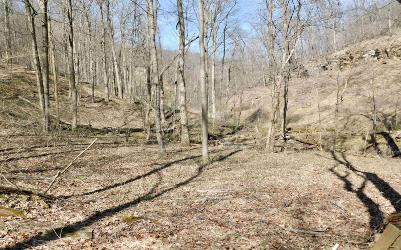 TBD Longhorn Lane, Morgantown, West Virginia 26508, ,Lots/land,For Sale,Longhorn,10148385