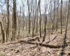 TBD Longhorn Lane, Morgantown, West Virginia 26508, ,Lots/land,For Sale,Longhorn,10148385