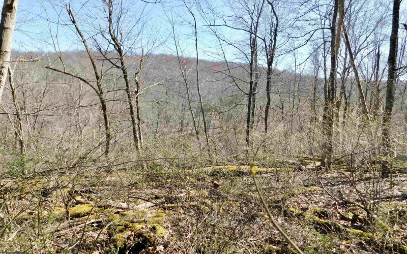 TBD Longhorn Lane, Morgantown, West Virginia 26508, ,Lots/land,For Sale,Longhorn,10148385