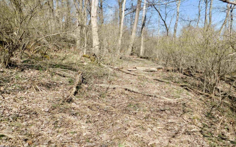 TBD Longhorn Lane, Morgantown, West Virginia 26508, ,Lots/land,For Sale,Longhorn,10148385