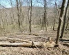 TBD Longhorn Lane, Morgantown, West Virginia 26508, ,Lots/land,For Sale,Longhorn,10148385