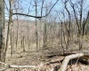 TBD Longhorn Lane, Morgantown, West Virginia 26508, ,Lots/land,For Sale,Longhorn,10148385