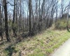 TBD Longhorn Lane, Morgantown, West Virginia 26508, ,Lots/land,For Sale,Longhorn,10148385