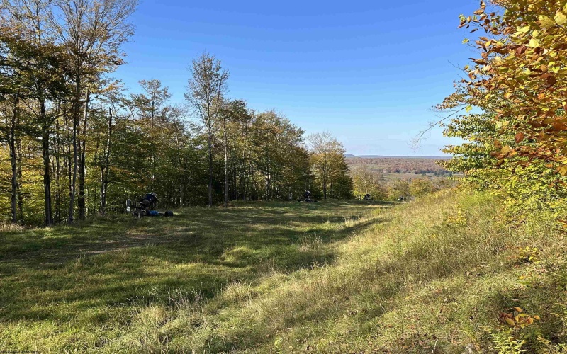 Lot 73 Twister Lane, Davis, West Virginia 26260, ,Lots/land,For Sale,Twister,10151478