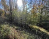 Lot 73 Twister Lane, Davis, West Virginia 26260, ,Lots/land,For Sale,Twister,10151478