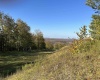 Lot 73 Twister Lane, Davis, West Virginia 26260, ,Lots/land,For Sale,Twister,10151478