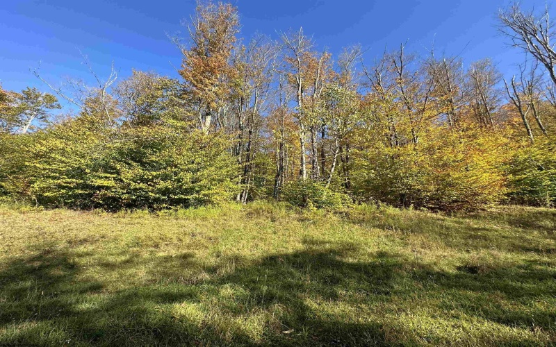 Lot 73 Twister Lane, Davis, West Virginia 26260, ,Lots/land,For Sale,Twister,10151478