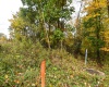 Lot 2 King Drive, Kingwood, West Virginia 26537, ,Lots/land,For Sale,King,10151725