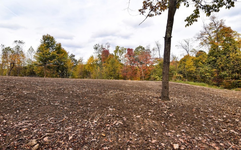 Lot 5 King Drive, Kingwood, West Virginia 26537, ,Lots/land,For Sale,King,10151729