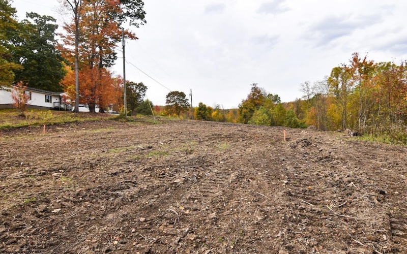 Lot 10 King Drive, Kingwood, West Virginia 26537, ,Lots/land,For Sale,King,10151733