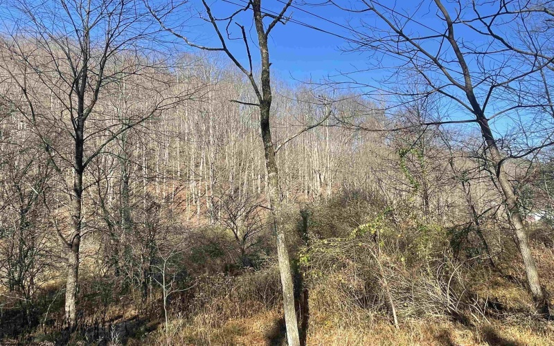 Lot 2 Jesse's Run Road, Fairview, West Virginia 26570, ,Lots/land,For Sale,Jesse's Run,10151768