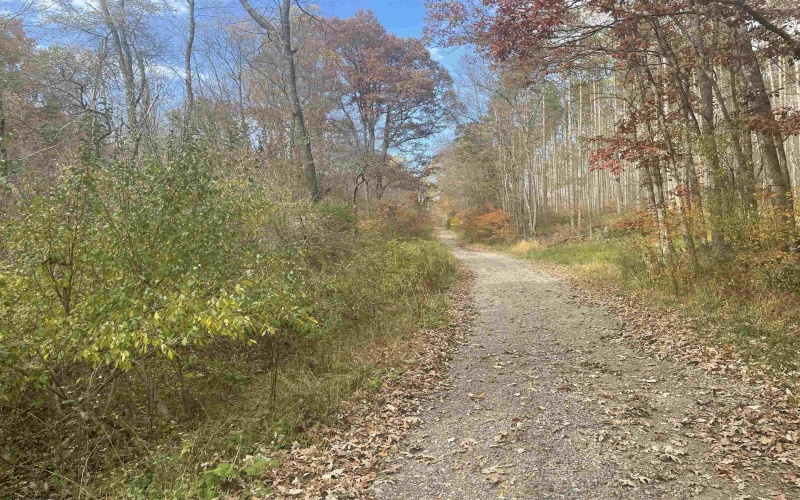 Lot 1 998 Hanlin Road, Bruceton Mills, West Virginia 26525-0000, ,Lots/land,For Sale,Hanlin,10151908