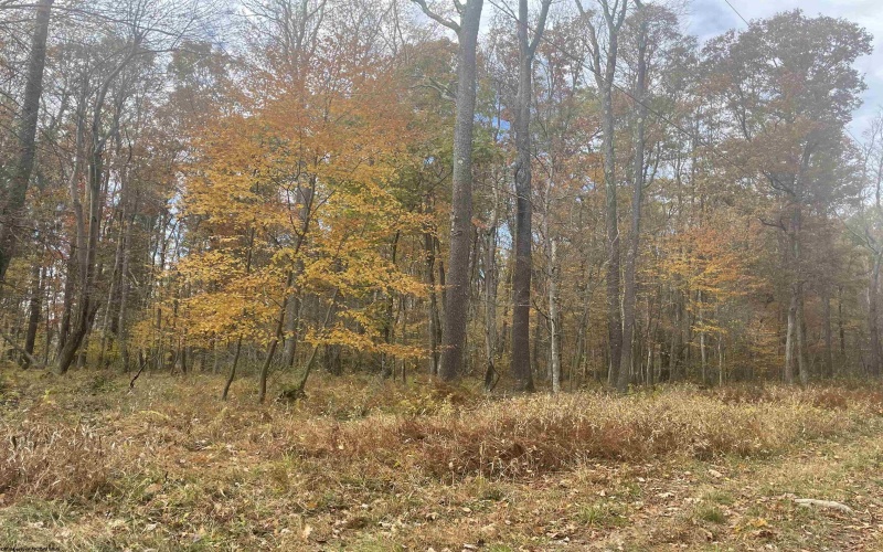 Lot 2 998 Hanlin Road, Bruceton Mills, West Virginia 26525-0000, ,Lots/land,For Sale,Hanlin,10151909