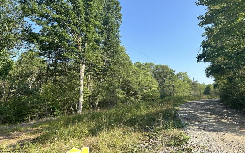 Lot 3 998 Hanlin Road, Bruceton Mills, West Virginia 26525-0000, ,Lots/land,For Sale,Hanlin,10151910