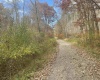 Lot 3 998 Hanlin Road, Bruceton Mills, West Virginia 26525-0000, ,Lots/land,For Sale,Hanlin,10151910