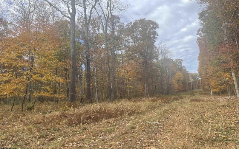 Lot 3 998 Hanlin Road, Bruceton Mills, West Virginia 26525-0000, ,Lots/land,For Sale,Hanlin,10151910