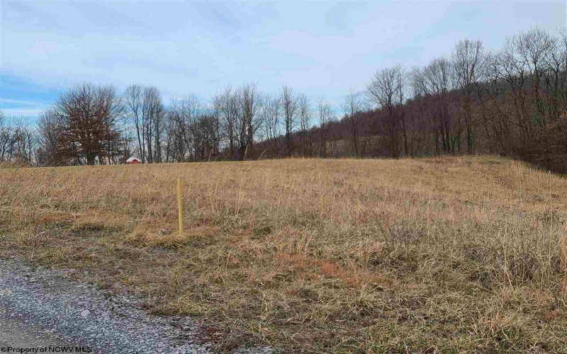 Lot 2&3 High Meadow Drive, Moatsville, West Virginia 26405, ,Lots/land,For Sale,High Meadow,10141571