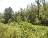 595 Wades Run and Bowlby Road, Morgantown, West Virginia 26501, ,Lots/land,For Sale,Wades Run and Bowlby,10152114