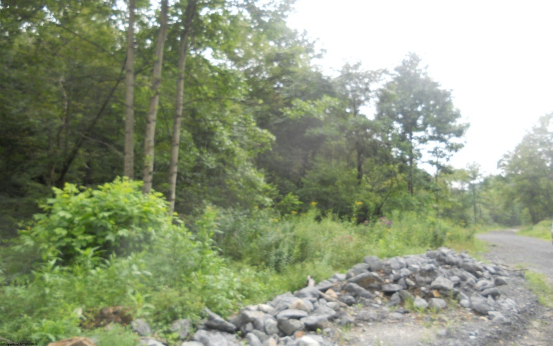 595 Wades Run and Bowlby Road, Morgantown, West Virginia 26501, ,Lots/land,For Sale,Wades Run and Bowlby,10152114