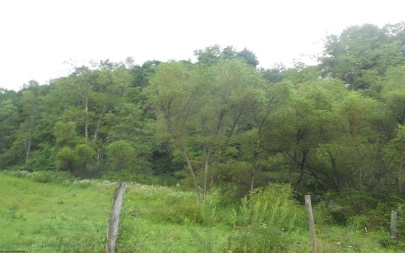 595 Wades Run and Bowlby Road, Morgantown, West Virginia 26501, ,Lots/land,For Sale,Wades Run and Bowlby,10152114