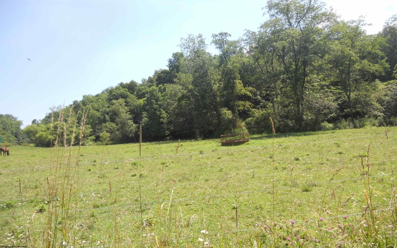 595 Wades Run and Bowlby Road, Morgantown, West Virginia 26501, ,Lots/land,For Sale,Wades Run and Bowlby,10152114