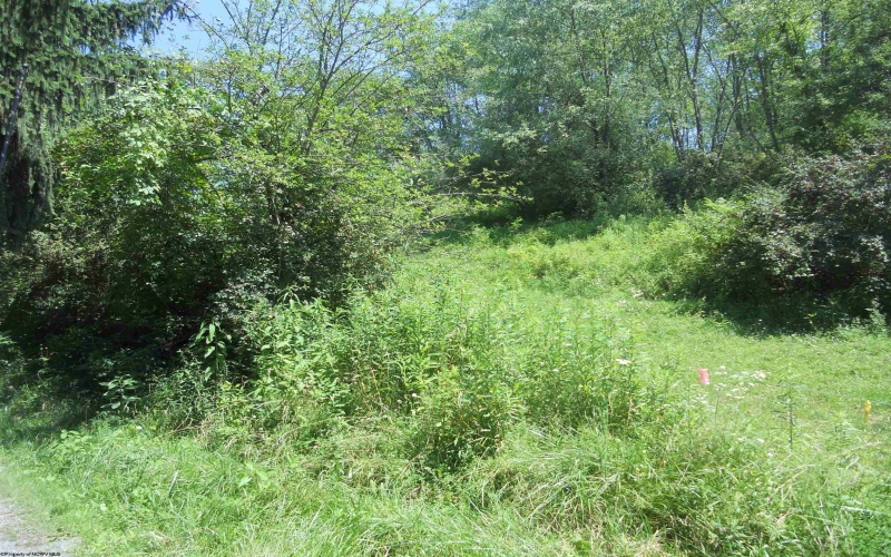 595 Wades Run and Bowlby Road, Morgantown, West Virginia 26501, ,Lots/land,For Sale,Wades Run and Bowlby,10152114